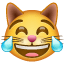 Katteemoji med glædestårer U+1F639